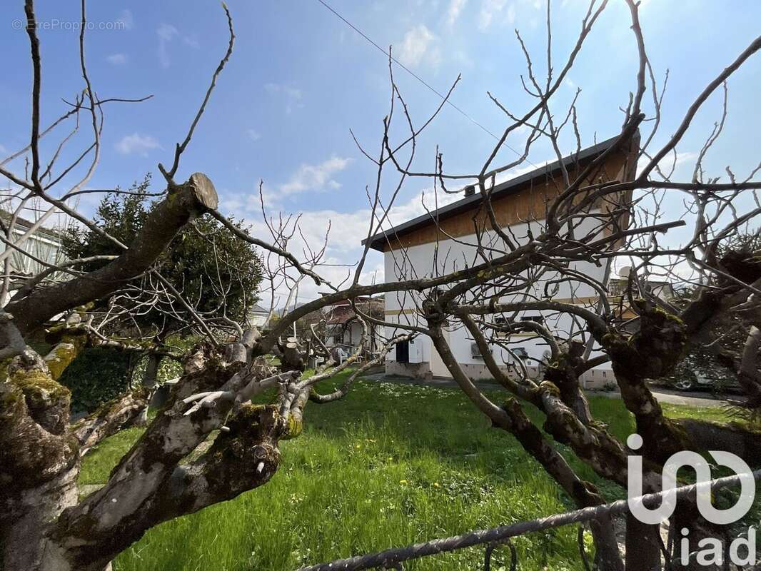 Photo 5 - Maison à ECHIROLLES