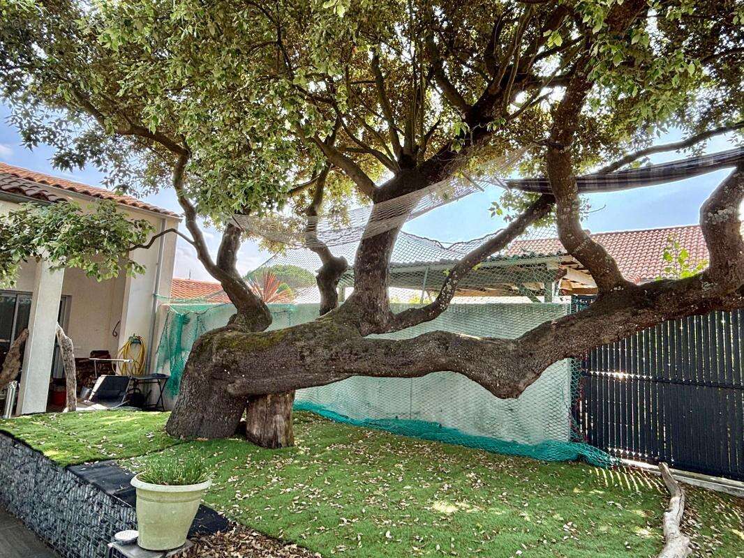 Maison à SAINT-PIERRE-D&#039;OLERON