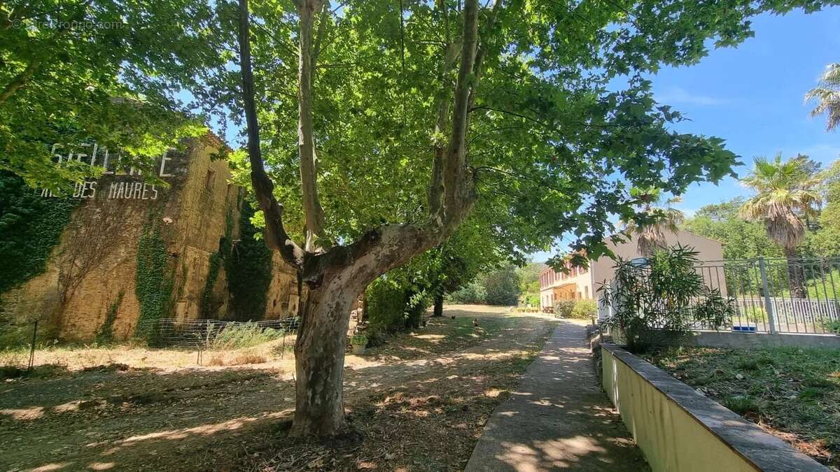 Maison à BORMES-LES-MIMOSAS