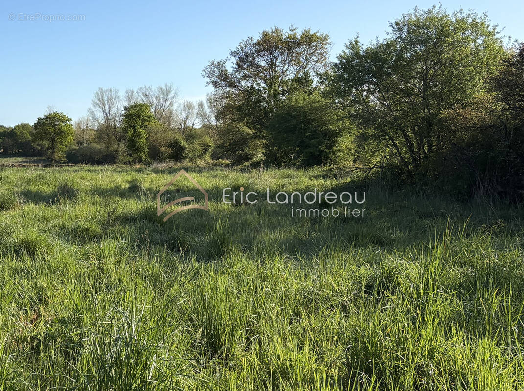 Terrain à TALMONT-SAINT-HILAIRE