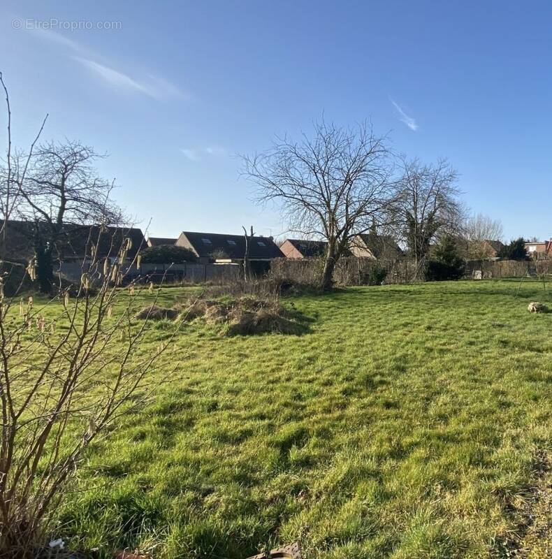 Terrain à CAPPELLE-EN-PEVELE