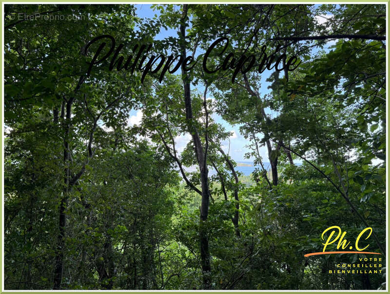 Terrain à LE FRANCOIS