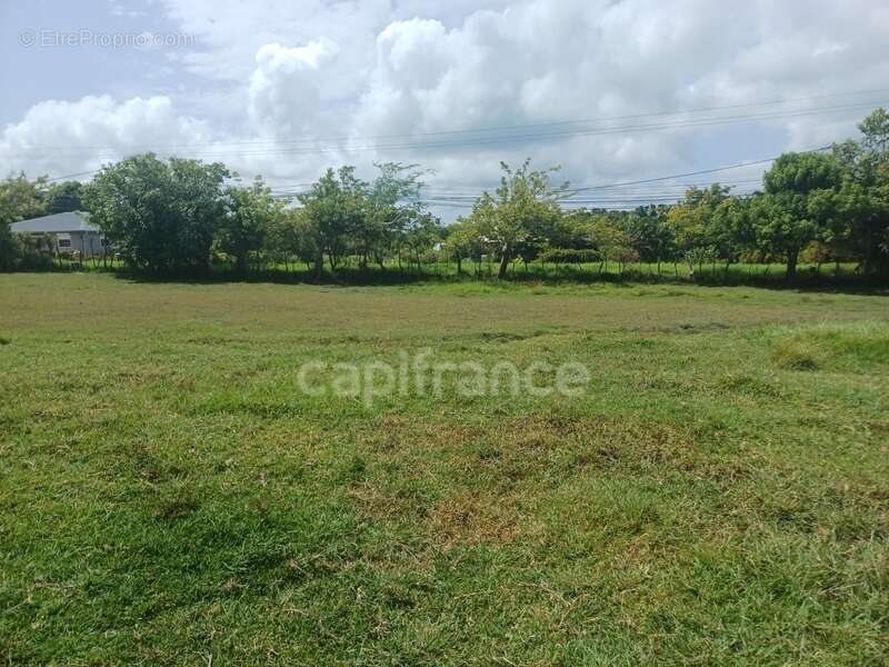 Terrain à vendre de 1 000,00 m² PETIT CANAL (971) - photo 7