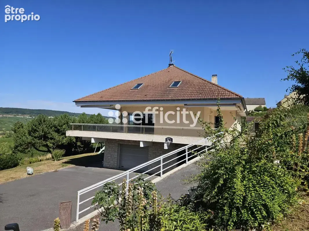 Maison 8 pièces 295 m² à vendre à Oeuilly (51480) - photo 3