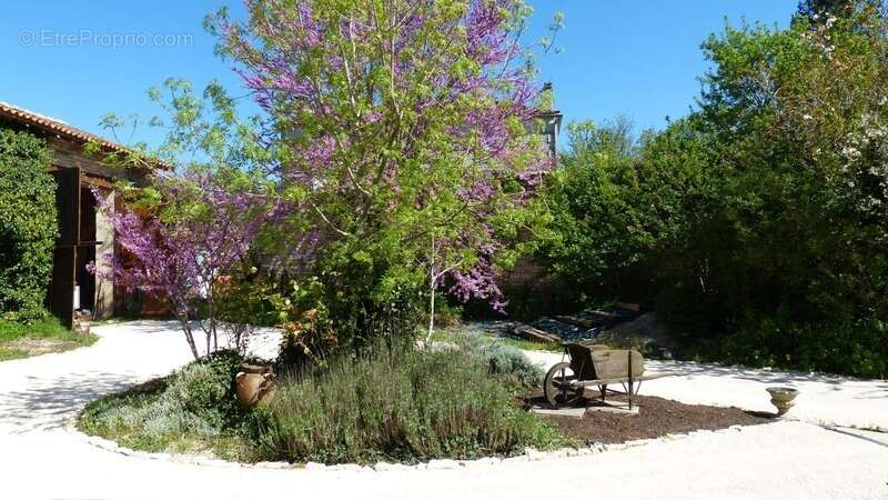 CHARENTE, COURCOME, maison 198 m², 4 chambres, grange, terrain 2401 m² clos - photo 3