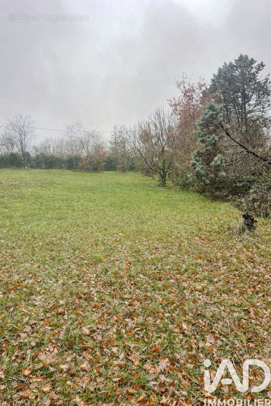 Terrain 1764 m² à Le Born  - photo 3