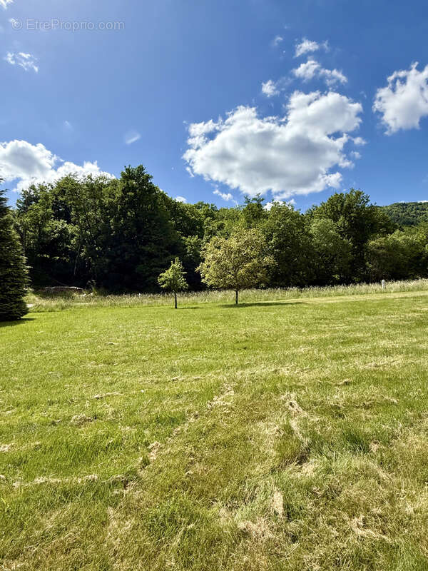 Terrain à BREITENBACH