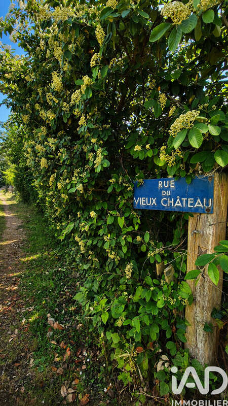 Photo 3 - Maison à SASSETOT-LE-MAUCONDUIT
