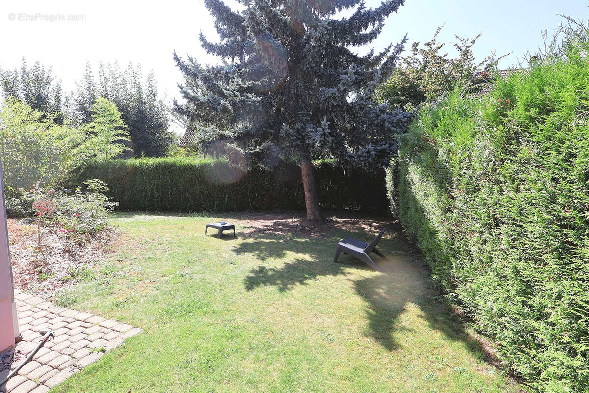 Blotzheim dans une impasse charmante maison de 115 m2 sur 5,29 ares de terrain - photo 5