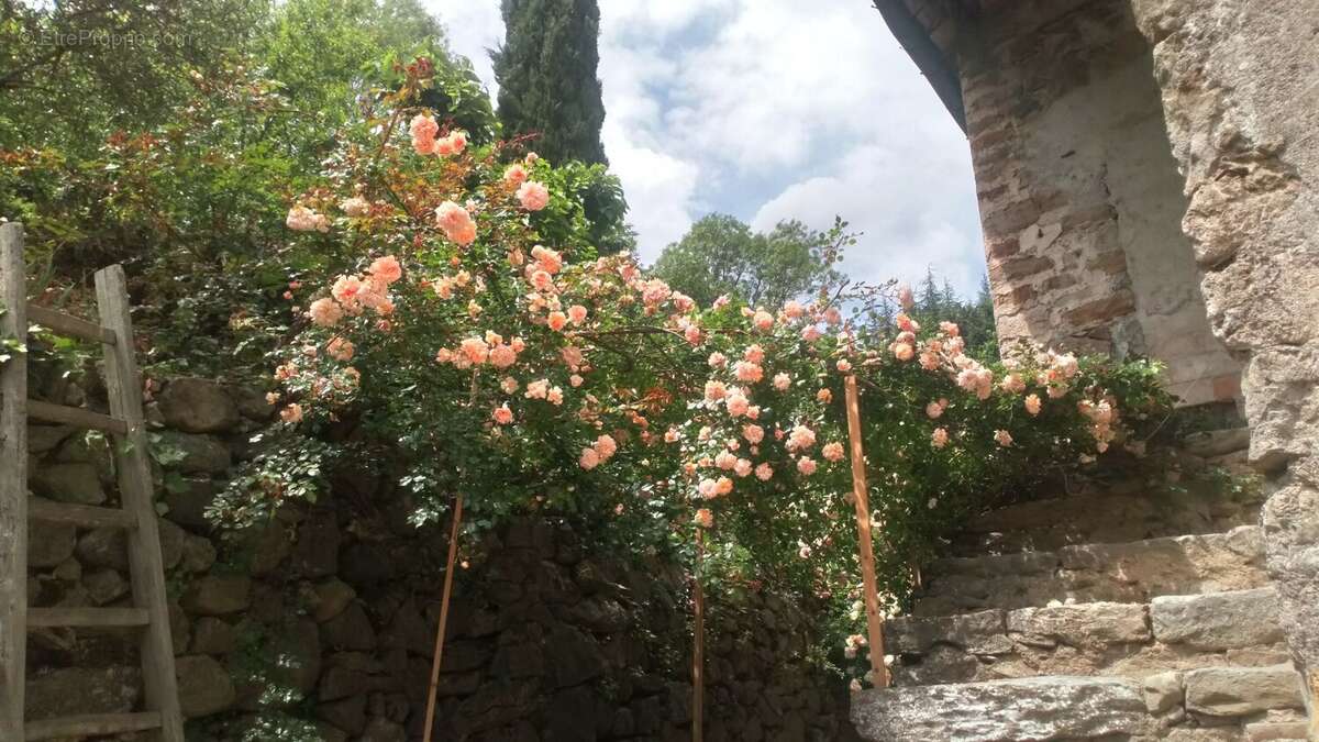 Maison à CROS