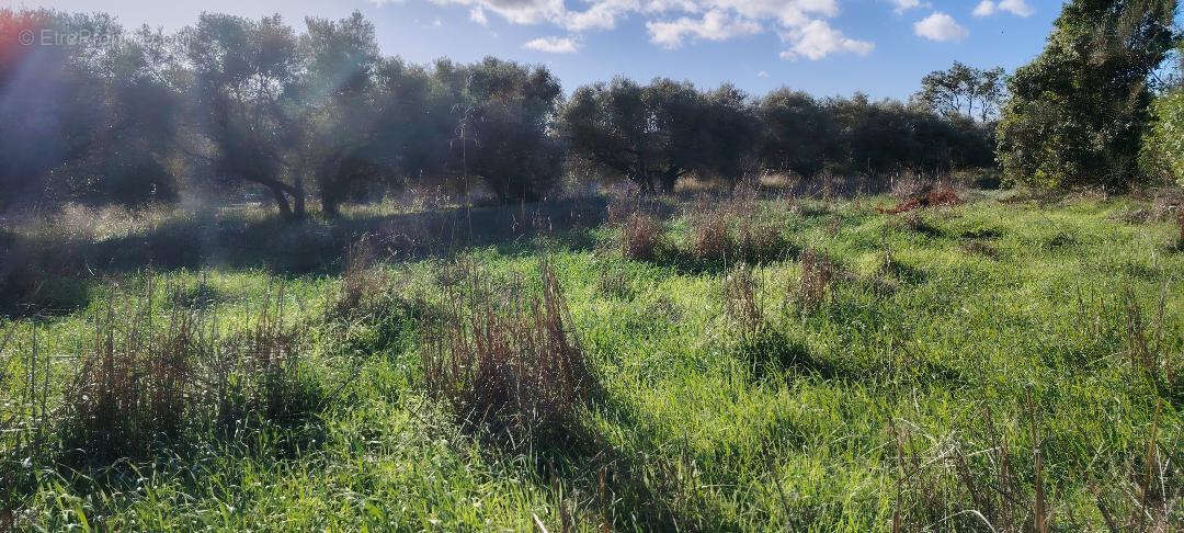 Terrain à ROQUEVAIRE