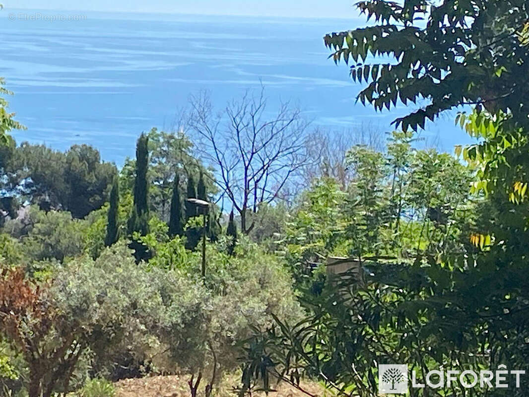 Terrain à ROQUEBRUNE-CAP-MARTIN