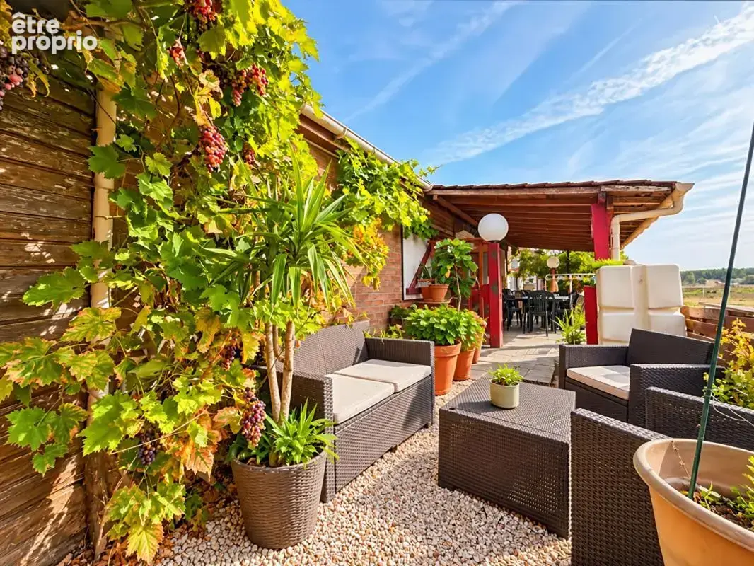 Longère de 140 m² avec vue sur la forêt de nieppe - 3 chambres - vie de plain-pied - terrasse avec pergola - merville - photo 8