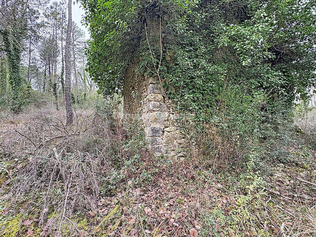 Terrain à CALLIAN