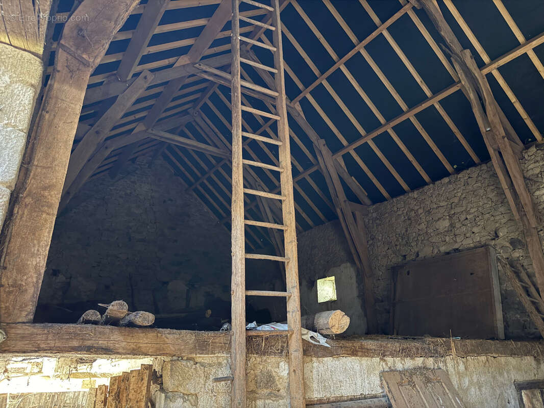 Auv 1225: Maison de caractère, grande grange, toits neufs, 1640m2 - photo 59