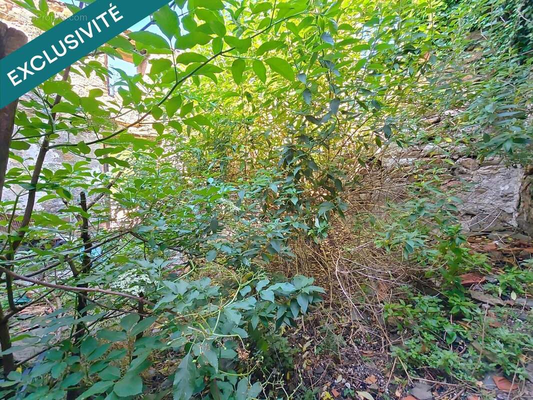 Photo 6 - Maison à GRAISSESSAC