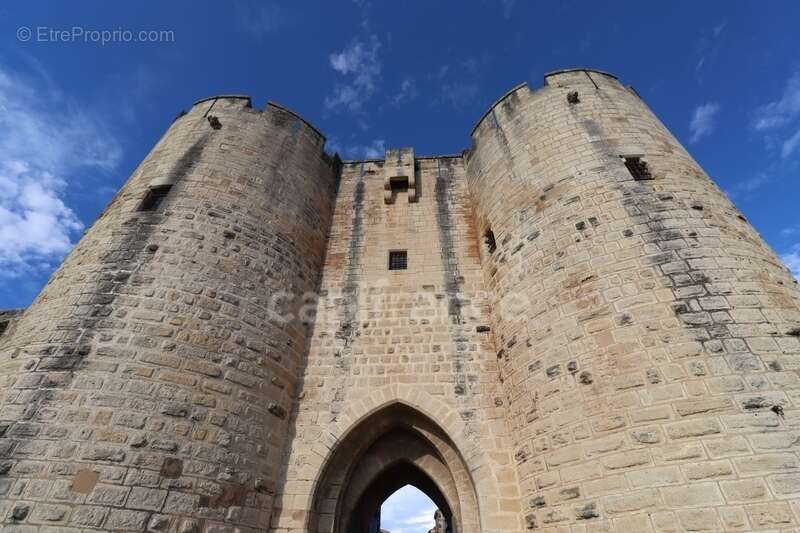 GARD (30) AIGUES-MORTES (30200) à vendre Immeuble mixte de 280 m 2, 1 local commercial 115 m 2 et 3 appartements - photo 15