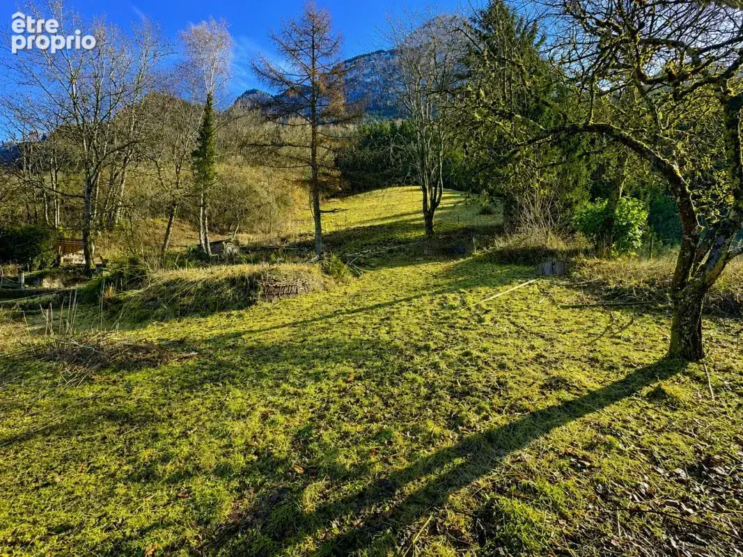 Terrain 14012 m² à Le Petit-Bornand-Les-Glieres  - photo 2