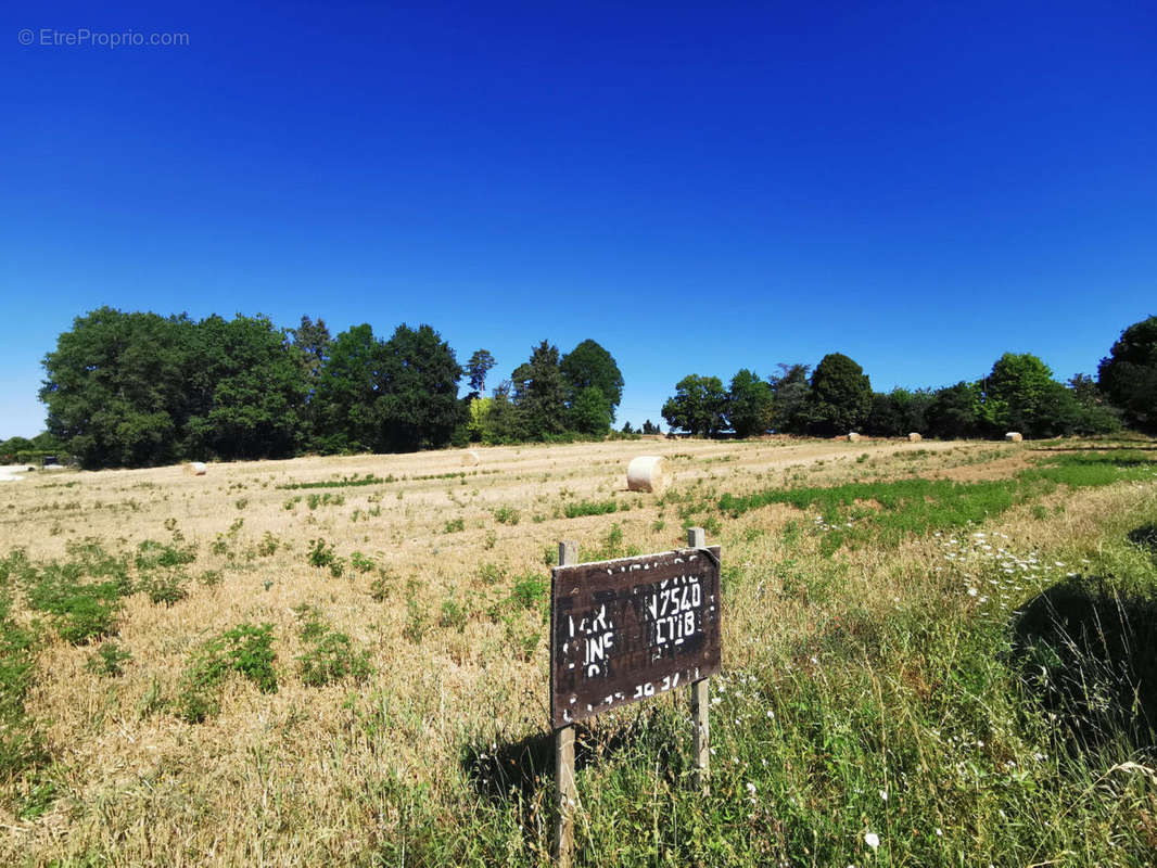 IMG_20220803_105559 - Terrain à VARAIGNES