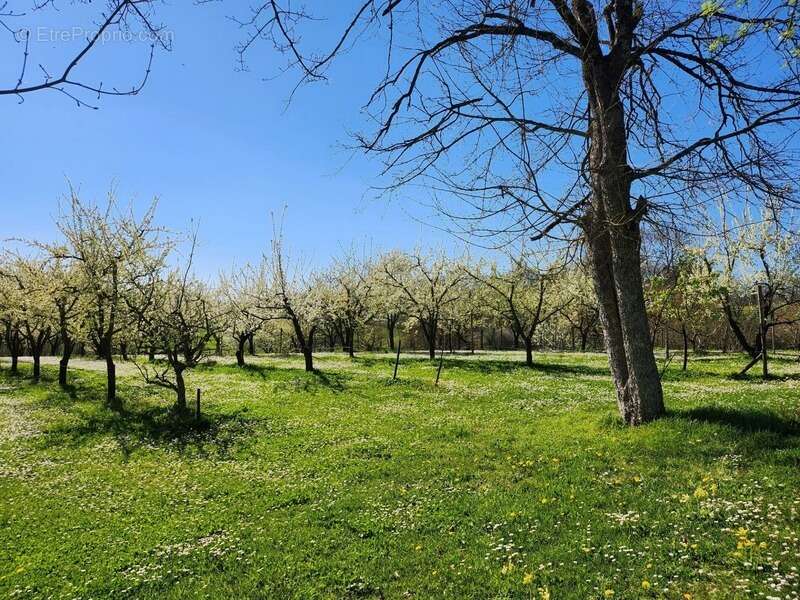 Belle Propriété avec piscine et dépendances - 6 pièces - à vendre - Proche de Villeréal - St Eutrope de Born (Lot-et-Garonne) - photo 18