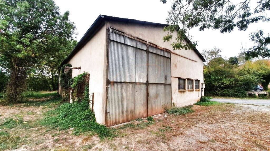 Commerce à MONTLAUR