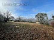 Terrain à MONT-SAINT-SULPICE