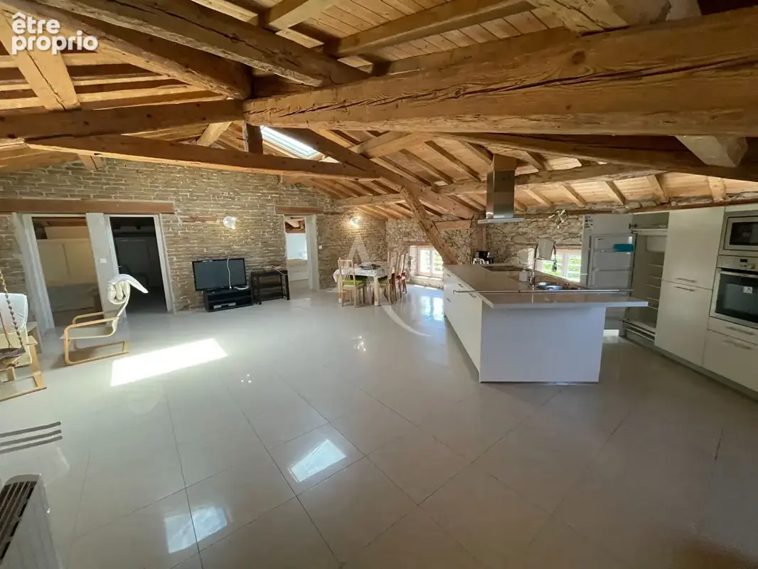 Maison  de Maître et appartement luxueux 12 pièce(s) 402.22 m2 - photo 6