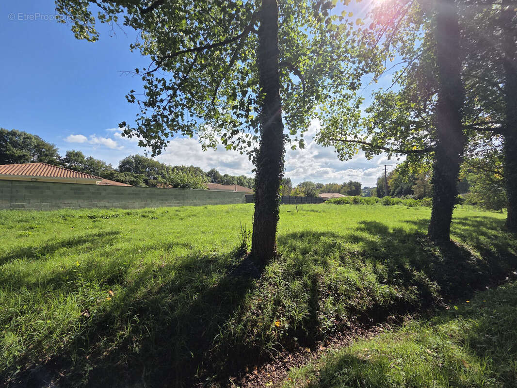 Photo 2 - Terrain à PANAZOL