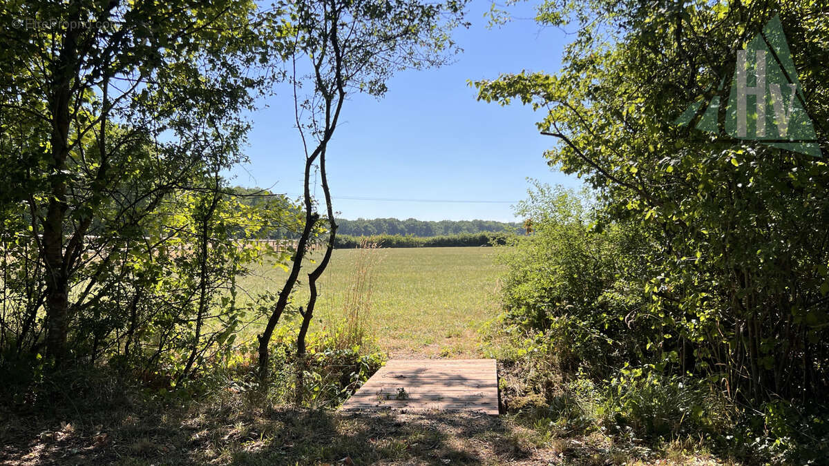 Maison de type longère - 1 ha de terrain - photo 5