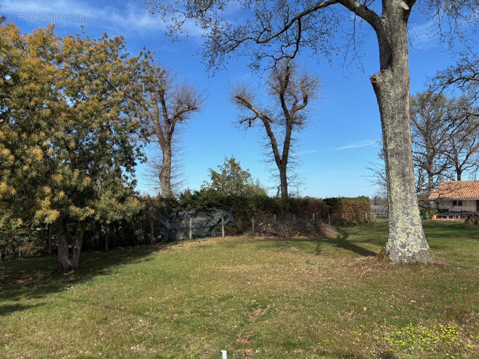 Terrain à SAINT-ESTEPHE