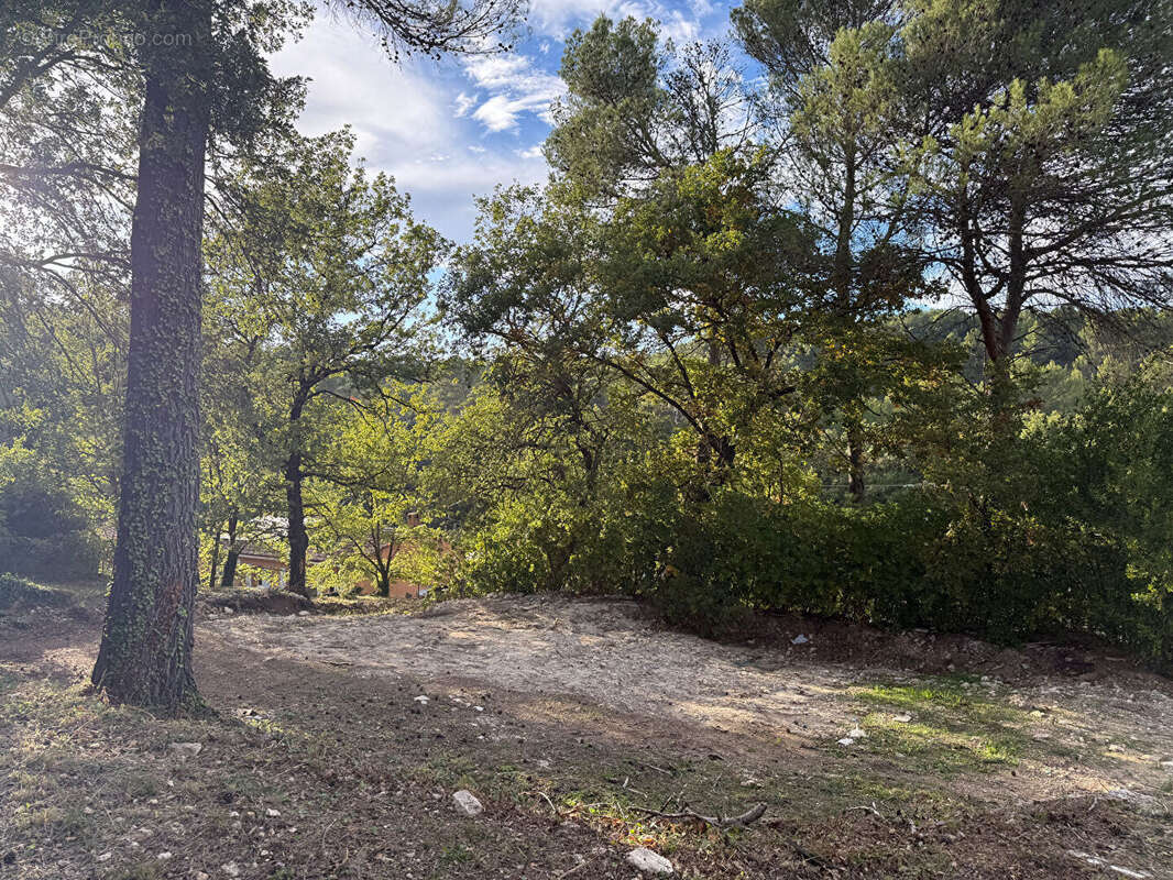 Terrain à LA ROQUE-D'ANTHERON
