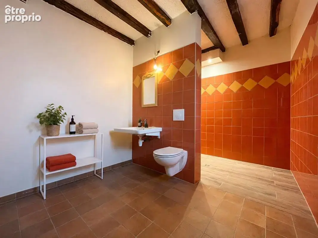 Maison à 5 min de Levroux 9 pièce(s) 290 m2 - photo 4