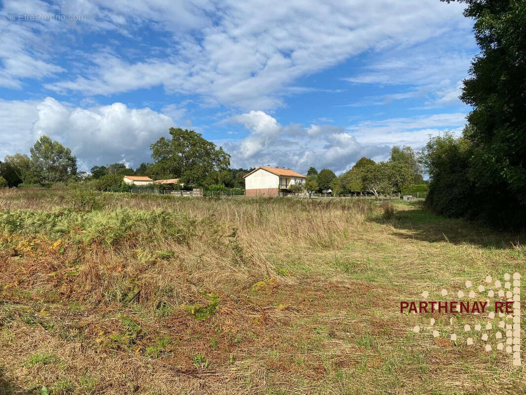 Terrain à LE TALLUD