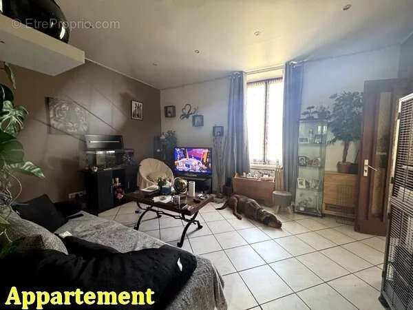 Maison à SAINT-THEOFFREY