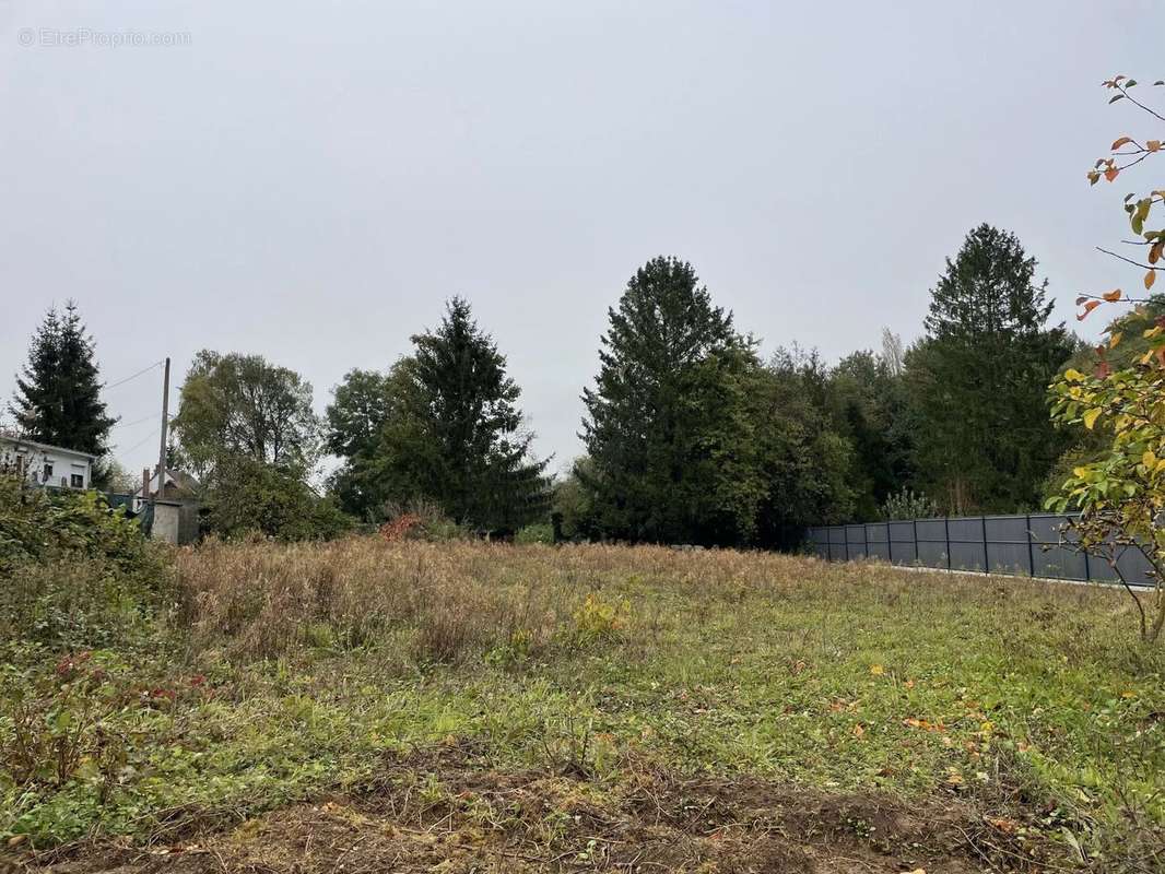 Terrain à LESDINS