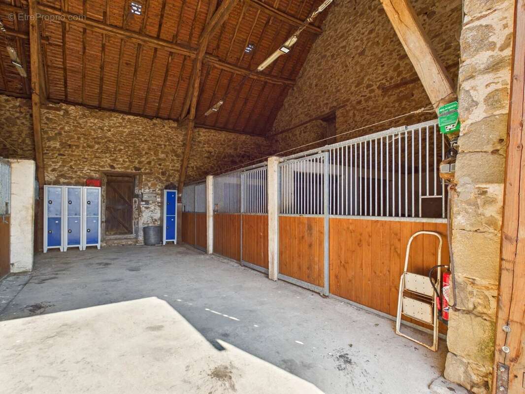 Propriété équestre avec 5 chambres, excellentes écuries et 19.5ha - photo 14
