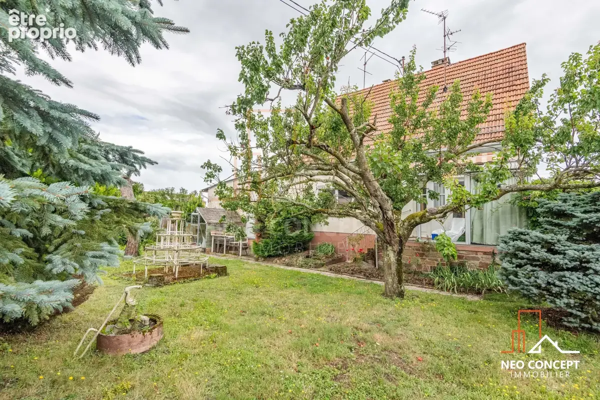 Maison à rénover totalement – 9,69 ares avec potentiel constructible – Bischwiller - photo 2