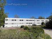 Photo 1 - Appartement à LA FERTE-GAUCHER