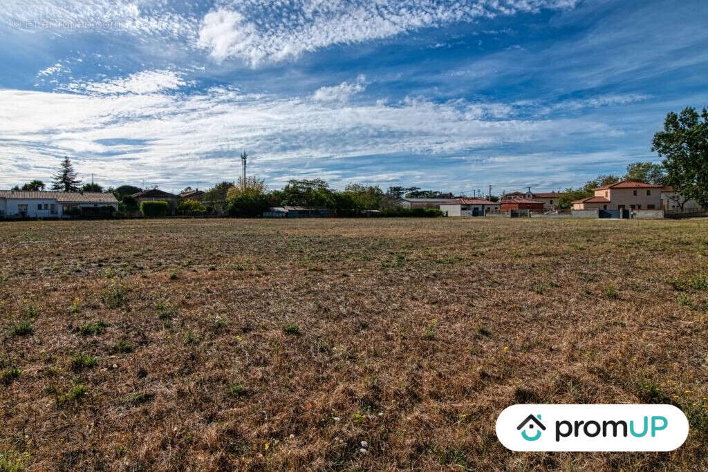 Terrain à CINTEGABELLE