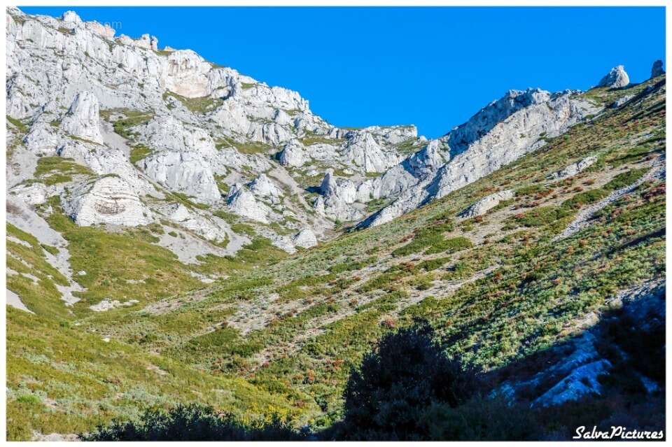 Terrain à MARSEILLE-9E