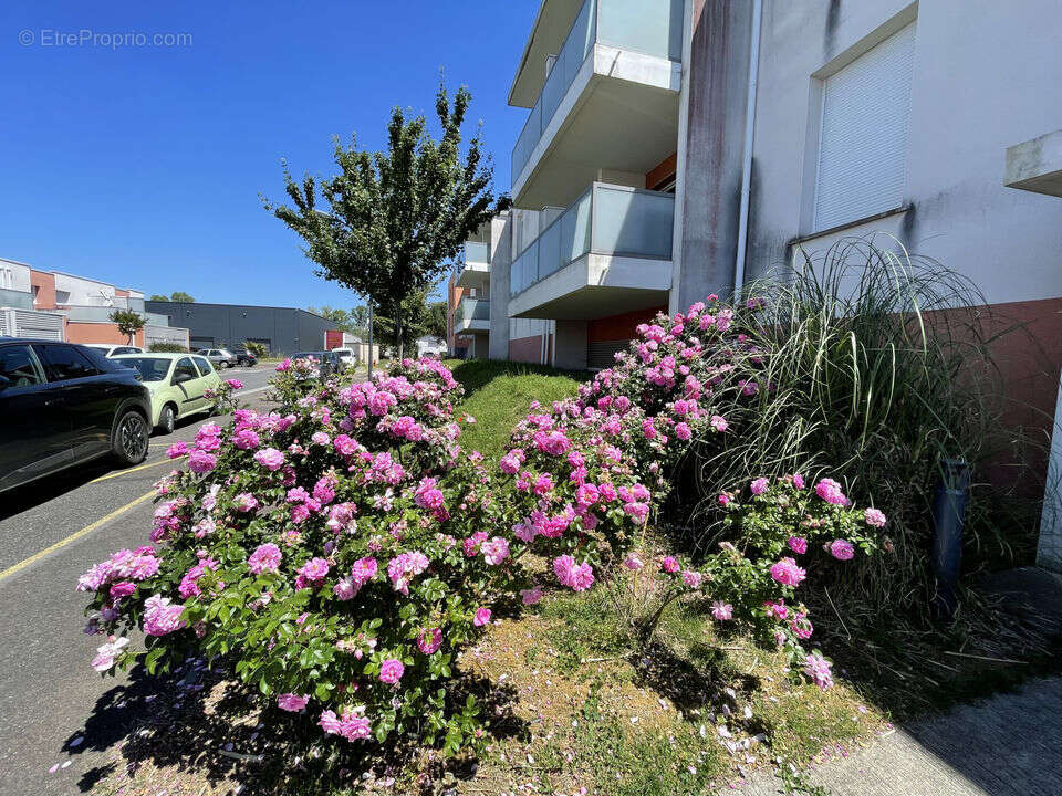 Appartement à BRUGES