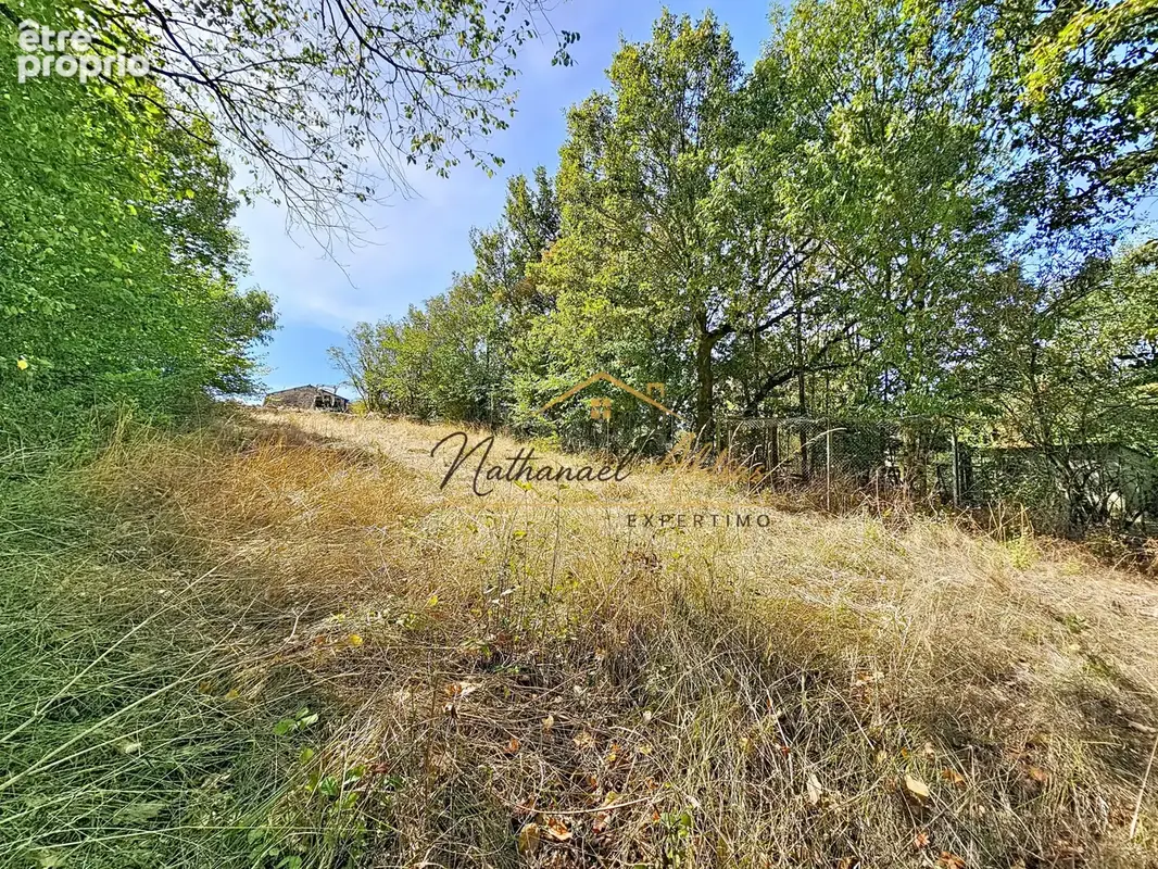 Grand terrain constructible avec vue - photo 13