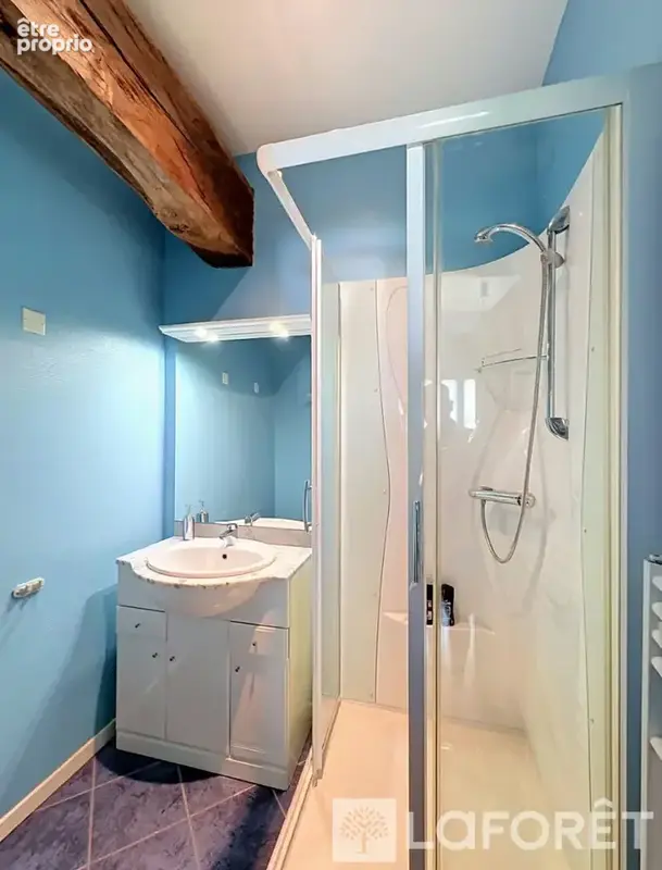 Maison Chatonnay 6 pièce(s) 182 m2 - photo 10