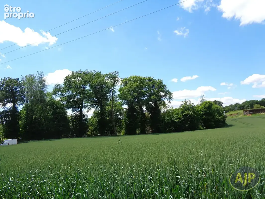Photo Terrain à Serent au prix de 61 500€