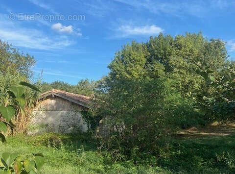 Belle ferme gersoise à restaurer terre 4 ha - photo 15