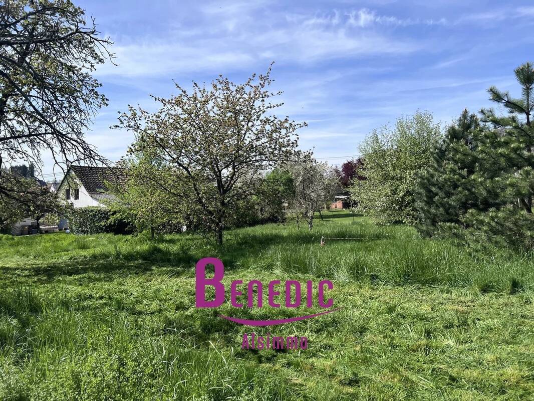 Terrain à ALTECKENDORF