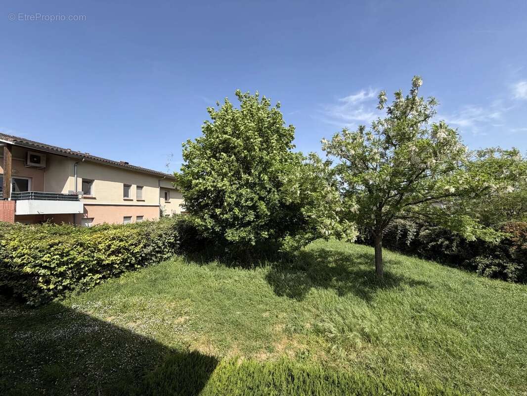 Appartement à MONTRABE