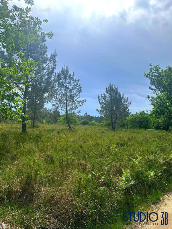 terrain agricole