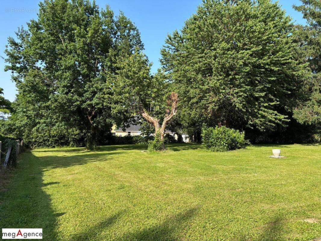 Maison à BRIVE-LA-GAILLARDE