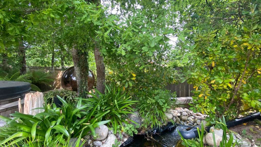 Maison à LEGE-CAP-FERRET